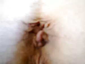 ibu bokep movie mp4  ...